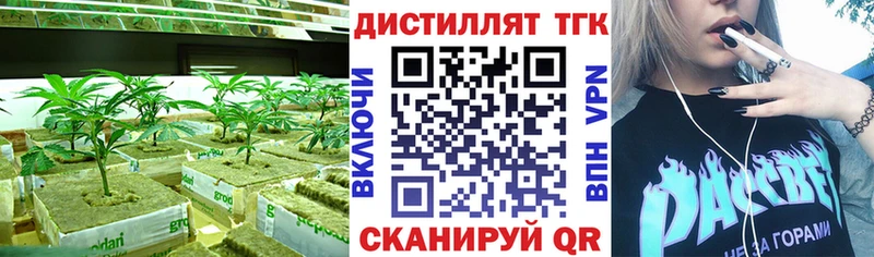 Купить  Кондопога  ТГК концентрат 